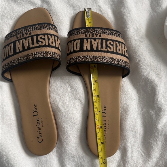 DIOR slide - Picture 14 of 14